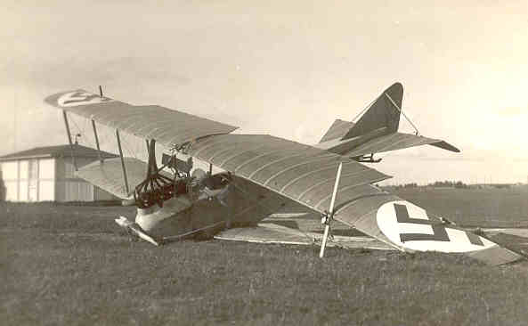 DFW C.V #5